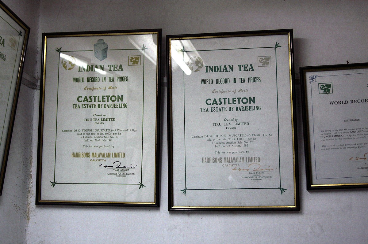 ダージリン・キャッスルトン茶園のテイスティングルームにかかった数々のオークションレコードの証明書