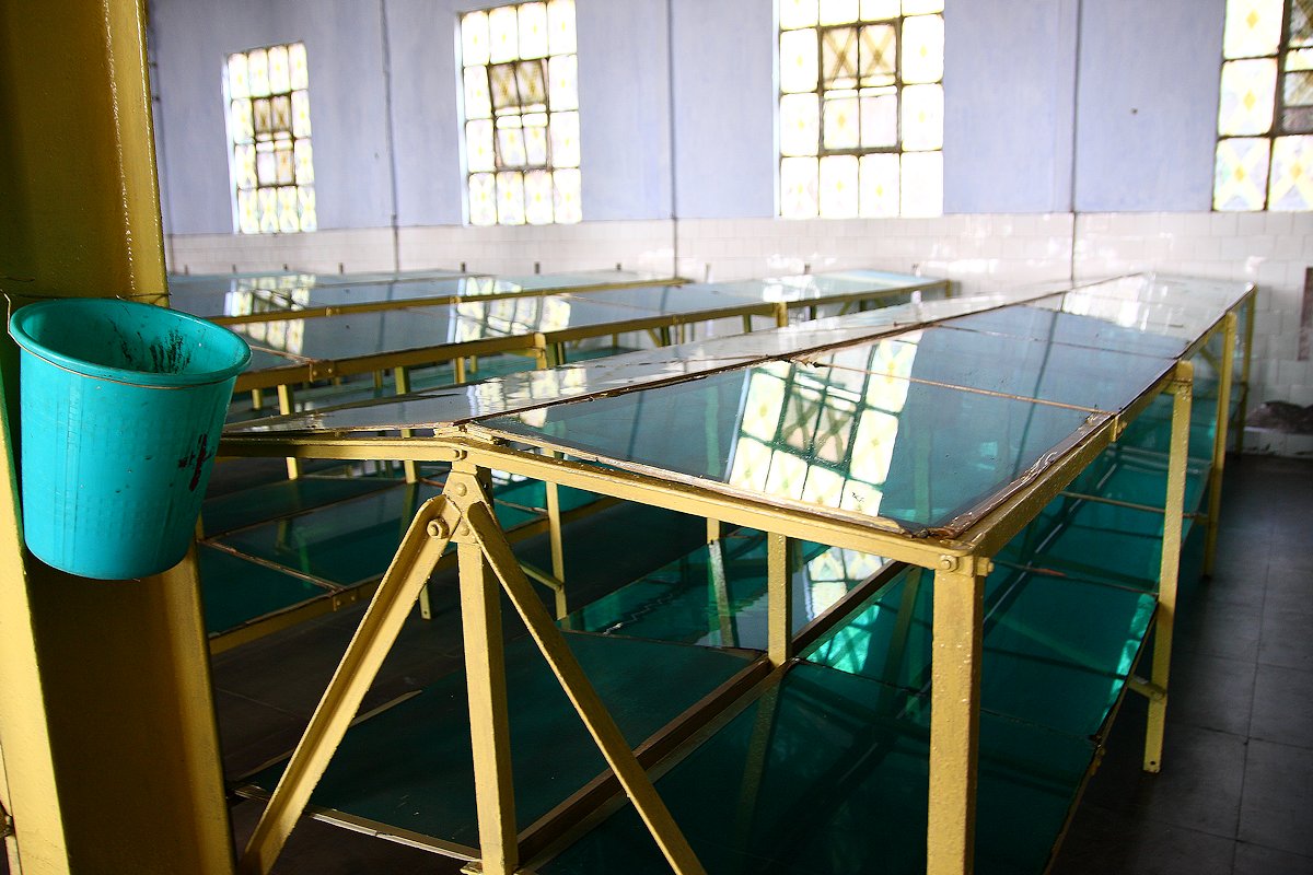 マーガレットホープ茶園の製茶工場 ガラスの発酵棚