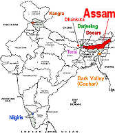 インドの紅茶の産地 地図 アッサム