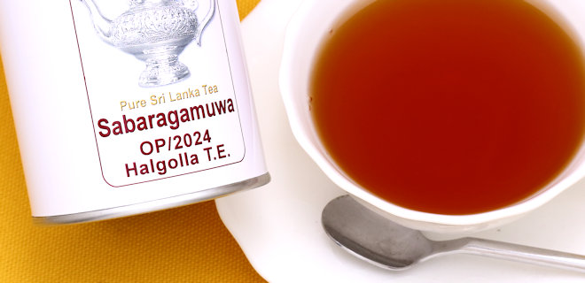 ハルゴラ茶園　2024