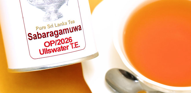 アルズウォータ茶園　2026