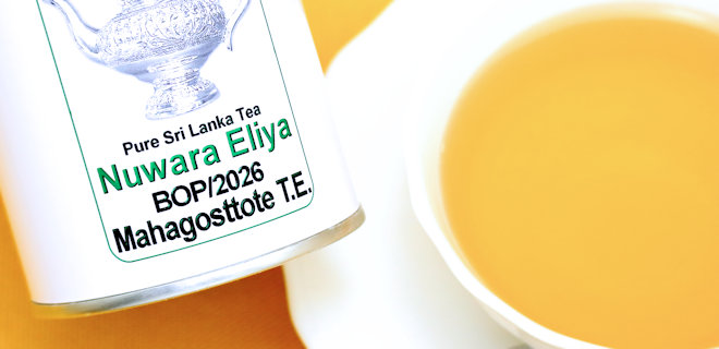 マハガストッテ茶園 2026