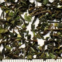 ワー茶園　SFTGFOP1　2025 First Flush