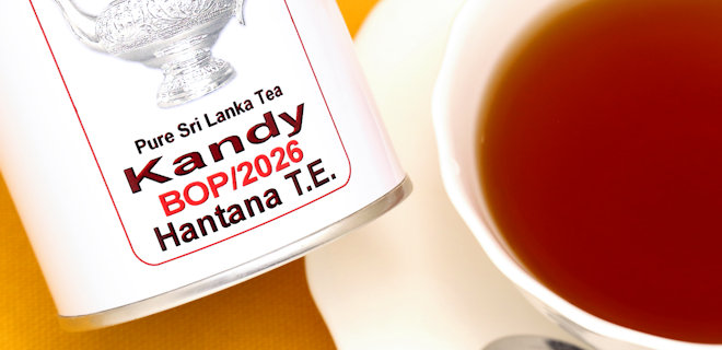 ハンターナ茶園　2026　BOP