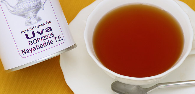 ナヤベッデ茶園 2025