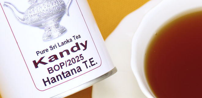 ハンターナ茶園　2025　BOP