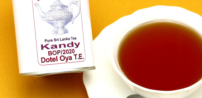 ドテルオヤ茶園　2020